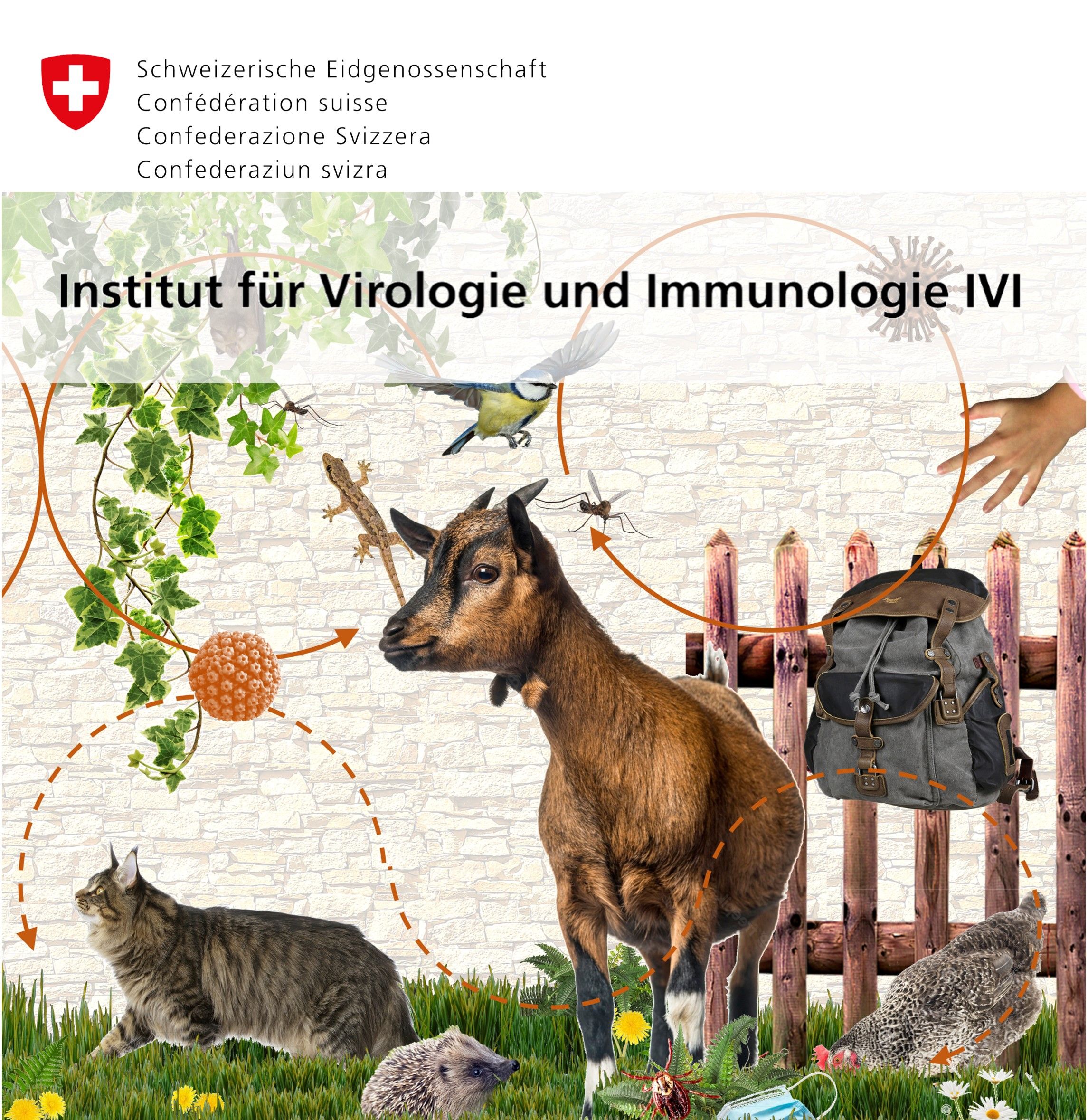 Logo Institut für Virologie und Immunologie (IVI)