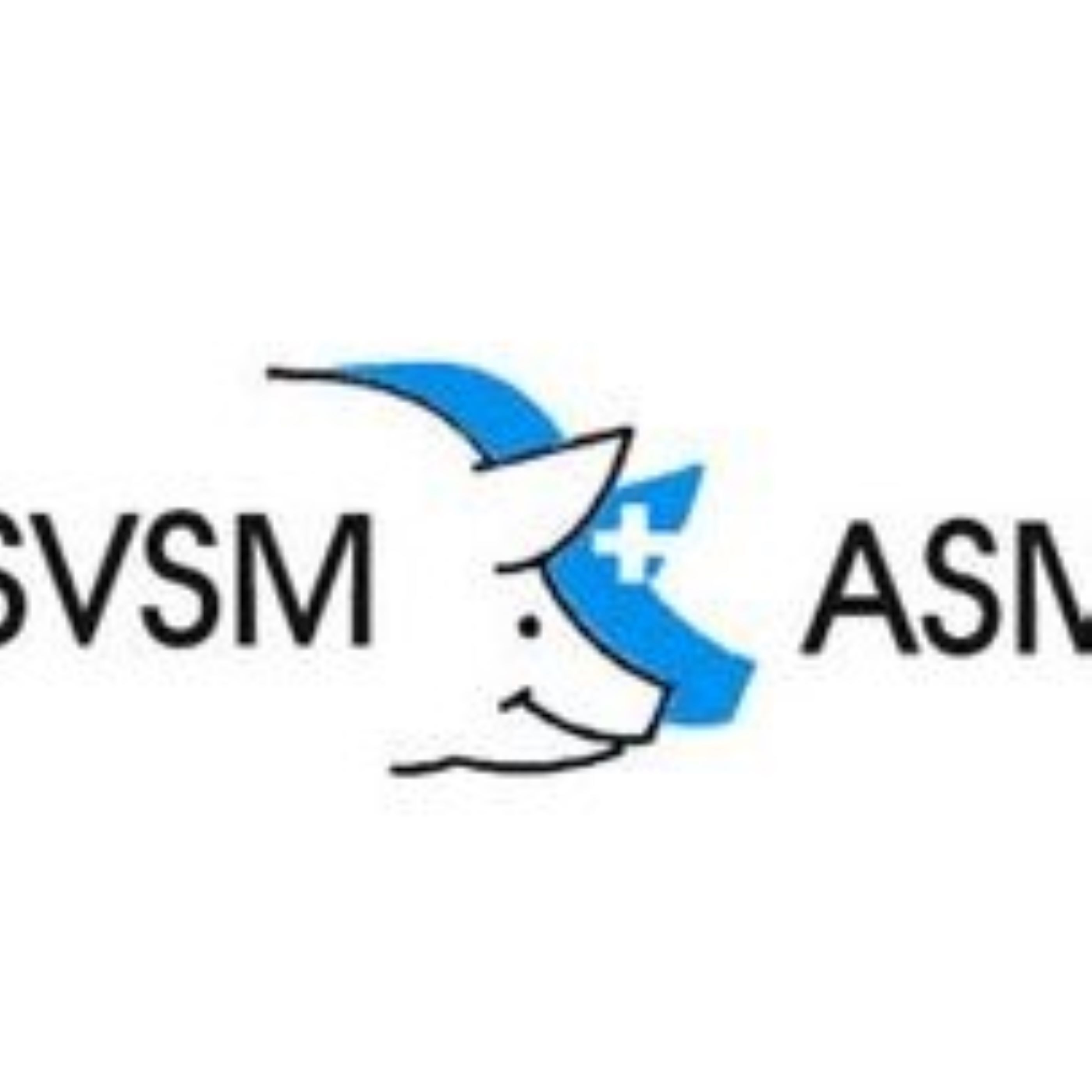 Logo SVSM Seminar 2023